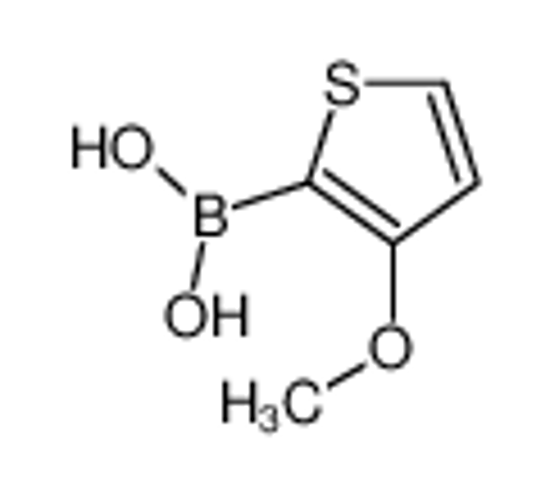 Picture of (3-methoxythiophen-2-yl)boronic acid