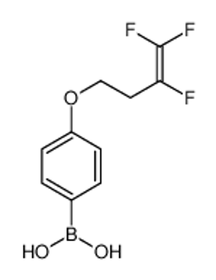 Picture of [4-(3,4,4-trifluorobut-3-enoxy)phenyl]boronic acid