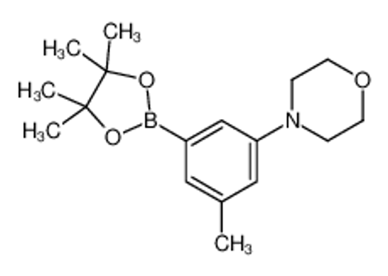 Picture of 4-[3-methyl-5-(4,4,5,5-tetramethyl-1,3,2-dioxaborolan-2-yl)phenyl]morpholine