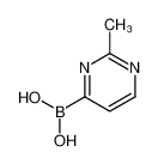 Imagem de (2-methylpyrimidin-4-yl)boronic acid