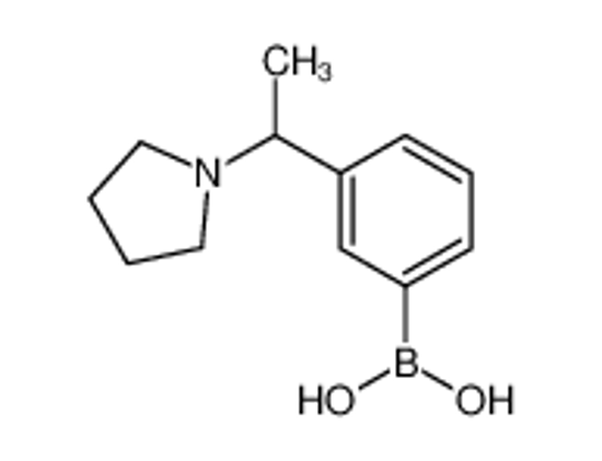 Picture of [3-(1-pyrrolidin-1-ylethyl)phenyl]boronic acid
