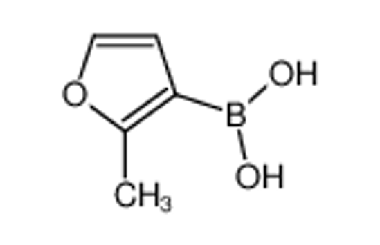 Изображение (2-methylfuran-3-yl)boronic acid