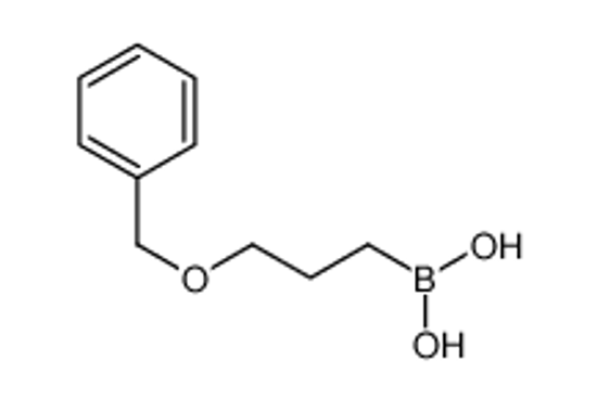 Imagem de [3-(Benzyloxy)propyl]boronic acid