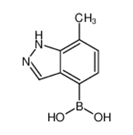 Picture of (7-Methyl-1H-indazol-4-yl)boronic acid