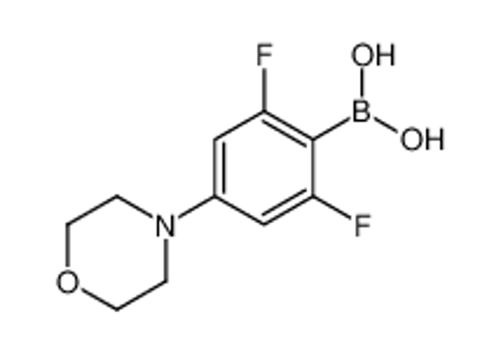 Picture of [2,6-Difluoro-4-(4-morpholinyl)phenyl]boronic acid