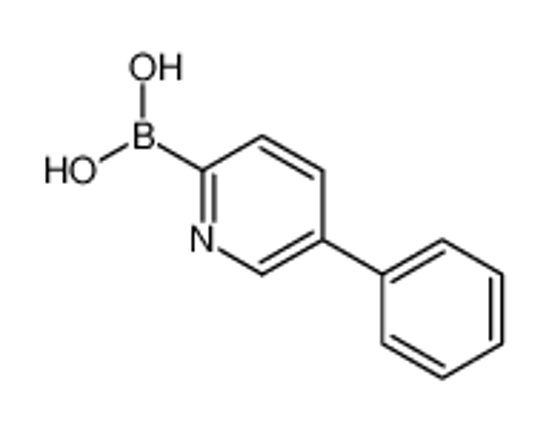Picture of (5-Phenyl-2-pyridinyl)boronic acid