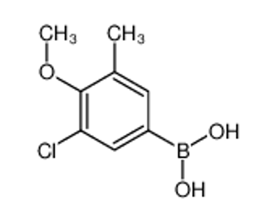 Изображение (3-Chloro-4-methoxy-5-methylphenyl)boronic acid