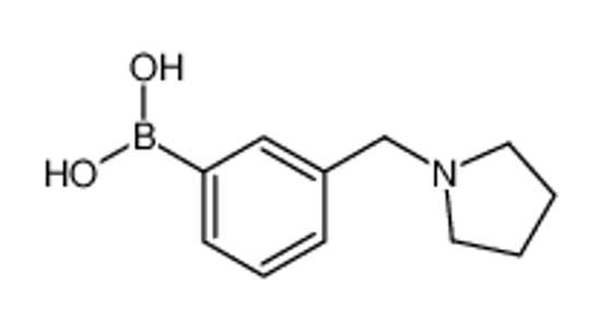 Picture of [3-(pyrrolidin-1-ylmethyl)phenyl]boronic acid