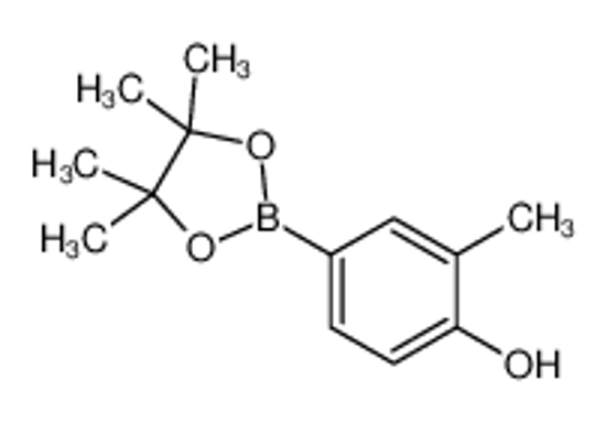 Изображение 2-methyl-4-(4,4,5,5-tetramethyl-1,3,2-dioxaborolan-2-yl)phenol