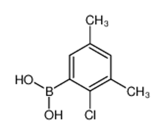 Picture of (2-Chloro-3,5-dimethylphenyl)boronic acid