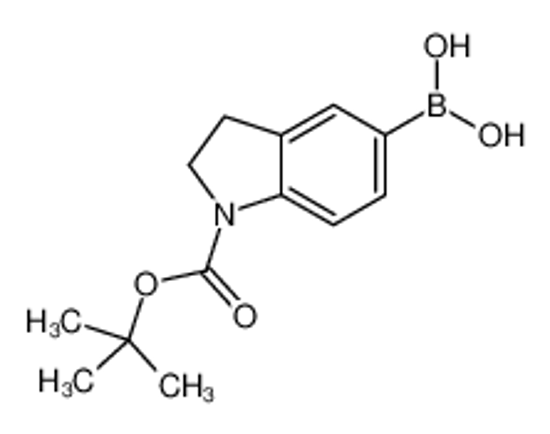 Imagem de [1-[(2-methylpropan-2-yl)oxycarbonyl]-2,3-dihydroindol-5-yl]boronic acid