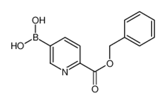 Picture of (6-phenylmethoxycarbonylpyridin-3-yl)boronic acid