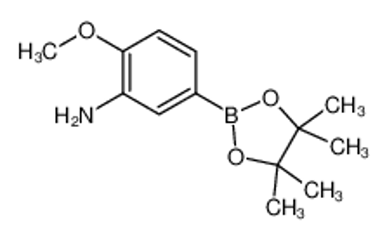 Изображение 2-methoxy-5-(4,4,5,5-tetramethyl-1,3,2-dioxaborolan-2-yl)aniline