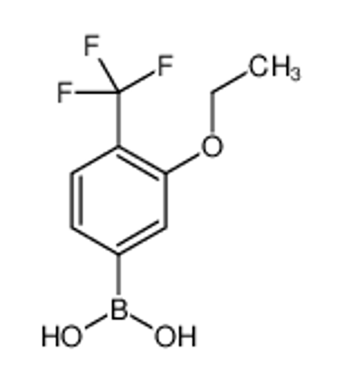 Изображение [3-ethoxy-4-(trifluoromethyl)phenyl]boronic acid