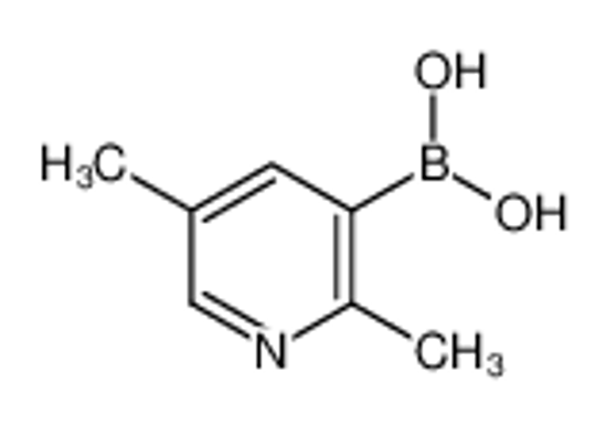 Picture of (2,5-dimethylpyridin-3-yl)boronic acid