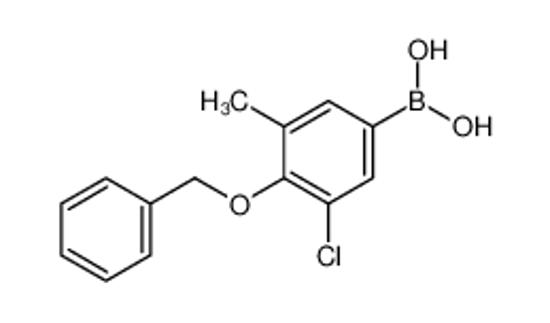 Imagem de (3-chloro-5-methyl-4-phenylmethoxyphenyl)boronic acid