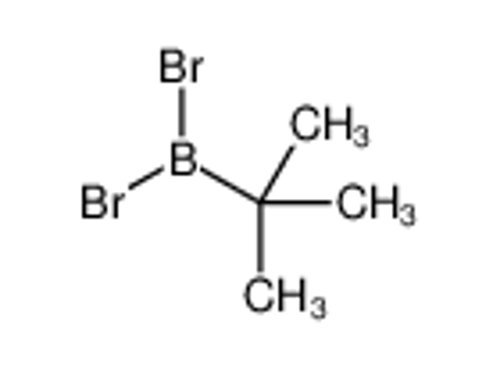 Picture of dibromo(tert-butyl)borane