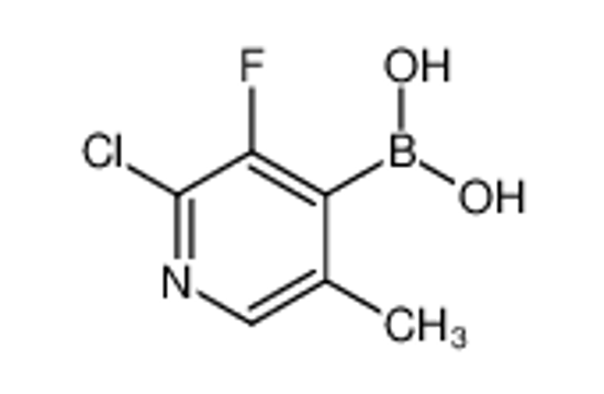 Picture of (2-chloro-3-fluoro-5-methylpyridin-4-yl)boronic acid