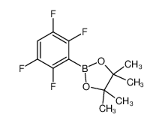 Picture of 4,4,5,5-tetramethyl-2-(2,3,5,6-tetrafluorophenyl)-1,3,2-dioxaborolane