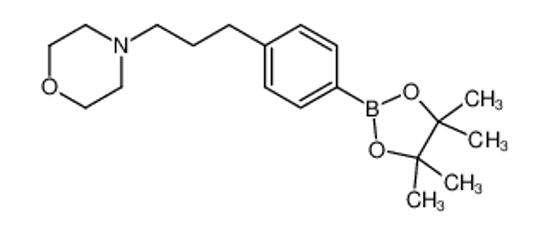 Picture of 4-[3-[4-(4,4,5,5-tetramethyl-1,3,2-dioxaborolan-2-yl)phenyl]propyl]morpholine