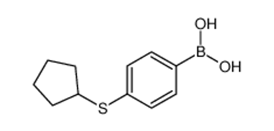Picture of (4-cyclopentylsulfanylphenyl)boronic acid