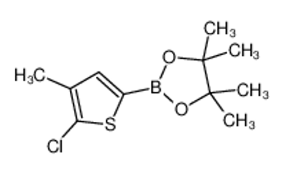Picture of 2-(5-chloro-4-methylthiophen-2-yl)-4,4,5,5-tetramethyl-1,3,2-dioxaborolane