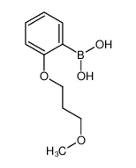 Picture of [2-(3-methoxypropoxy)phenyl]boronic acid
