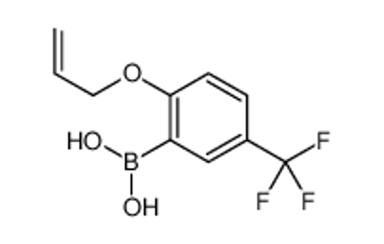 Picture of [2-prop-2-enoxy-5-(trifluoromethyl)phenyl]boronic acid