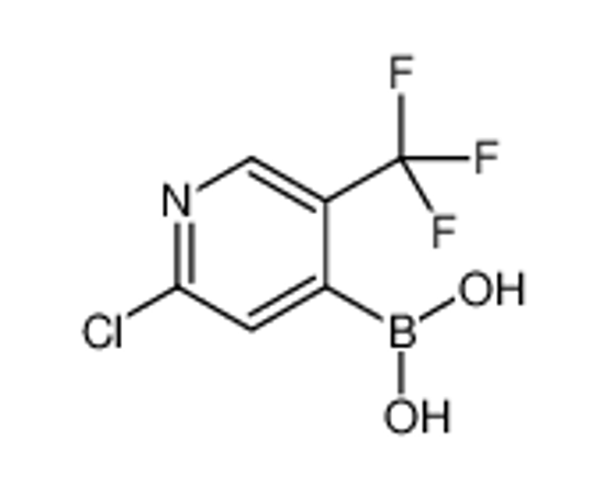 Изображение [2-chloro-5-(trifluoromethyl)pyridin-4-yl]boronic acid