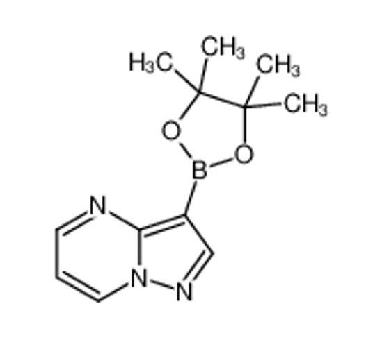 Picture of 3-(4,4,5,5-tetramethyl-1,3,2-dioxaborolan-2-yl)pyrazolo[1,5-a]pyrimidine