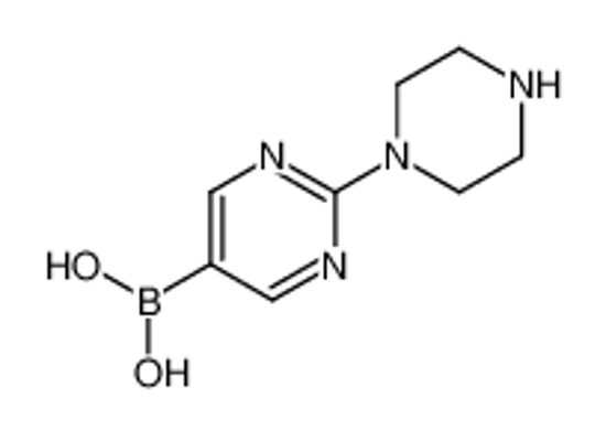 Изображение (2-piperazin-1-ylpyrimidin-5-yl)boronic acid