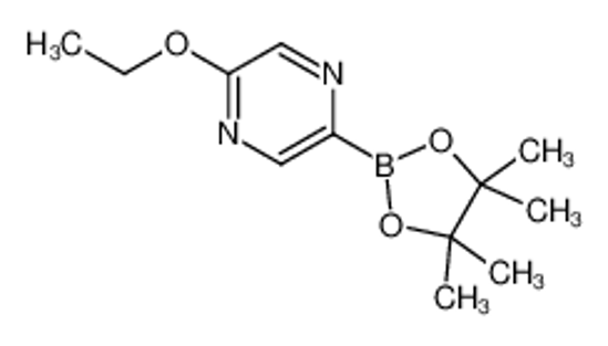 Picture of 2-ethoxy-5-(4,4,5,5-tetramethyl-1,3,2-dioxaborolan-2-yl)pyrazine