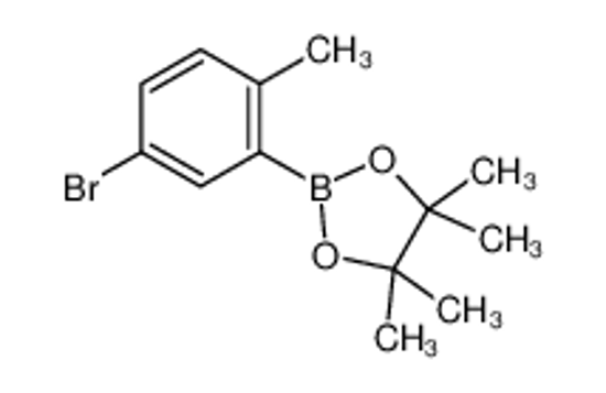 Picture of 2-(5-bromo-2-methylphenyl)-4,4,5,5-tetramethyl-1,3,2-dioxaborolane