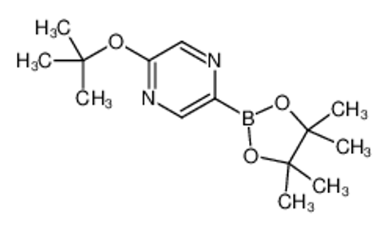Picture of 2-[(2-methylpropan-2-yl)oxy]-5-(4,4,5,5-tetramethyl-1,3,2-dioxaborolan-2-yl)pyrazine