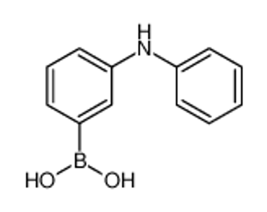 Picture of (3-anilinophenyl)boronic acid