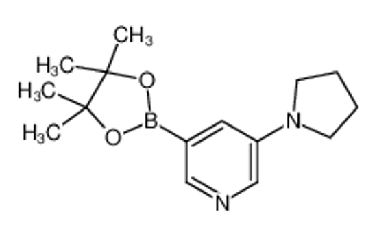 Picture of 3-pyrrolidin-1-yl-5-(4,4,5,5-tetramethyl-1,3,2-dioxaborolan-2-yl)pyridine