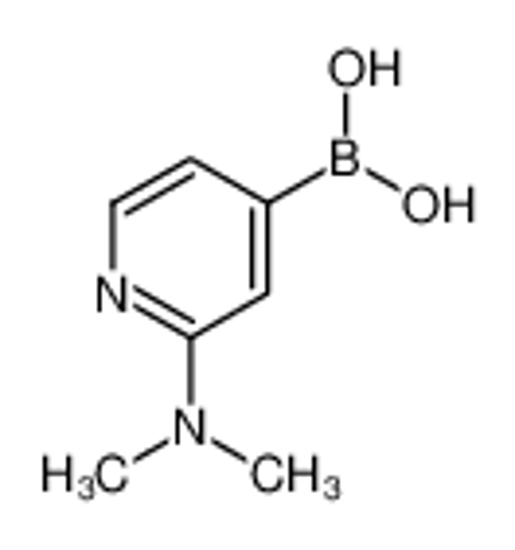 Imagem de [2-(dimethylamino)pyridin-4-yl]boronic acid