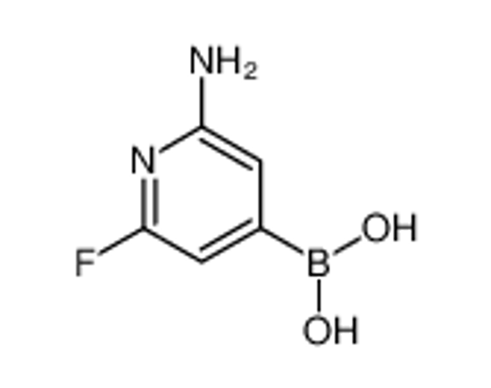 Picture of (2-amino-6-fluoropyridin-4-yl)boronic acid
