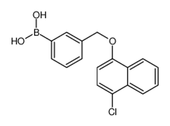 Picture of [3-[(4-chloronaphthalen-1-yl)oxymethyl]phenyl]boronic acid