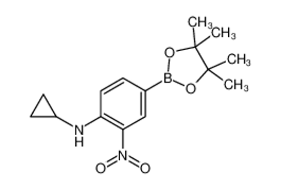 Picture of 4-Cyclopropylamino-3-nitrophenylboronic acid, pinacol ester
