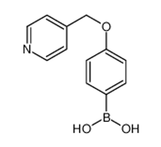 Picture of [4-(pyridin-4-ylmethoxy)phenyl]boronic acid