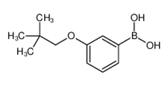 Picture of (3-(Neopentyloxy)phenyl)boronic acid