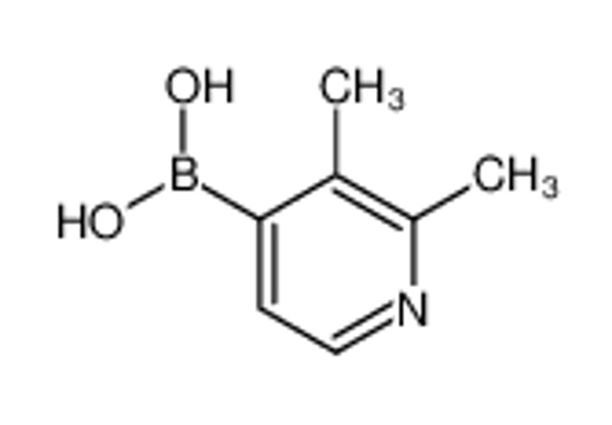 Picture of (2,3-dimethylpyridin-4-yl)boronic acid