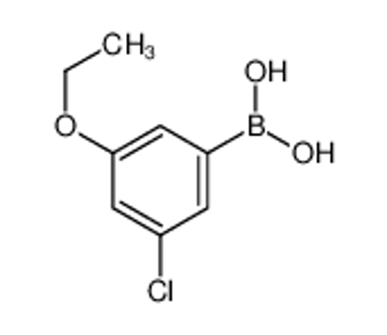 Picture of (3-chloro-5-ethoxyphenyl)boronic acid