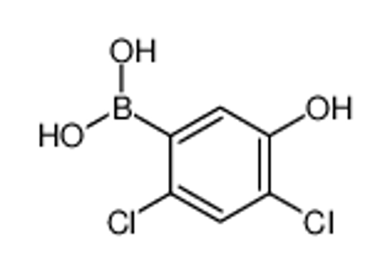 Picture of (2,4-dichloro-5-hydroxyphenyl)boronic acid
