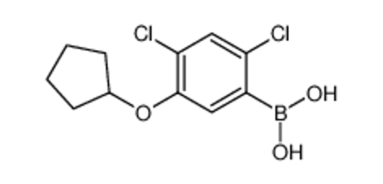 Picture of (2,4-dichloro-5-cyclopentyloxyphenyl)boronic acid