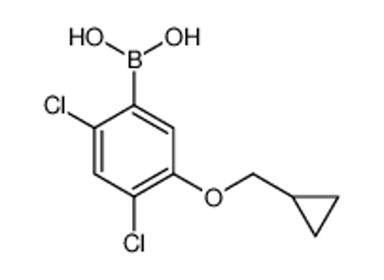 Picture of [2,4-dichloro-5-(cyclopropylmethoxy)phenyl]boronic acid