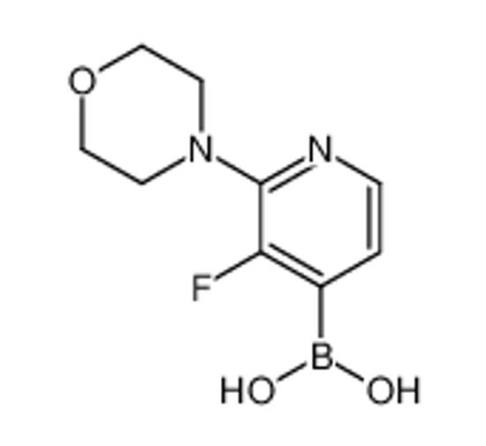 Picture of (3-fluoro-2-morpholin-4-ylpyridin-4-yl)boronic acid