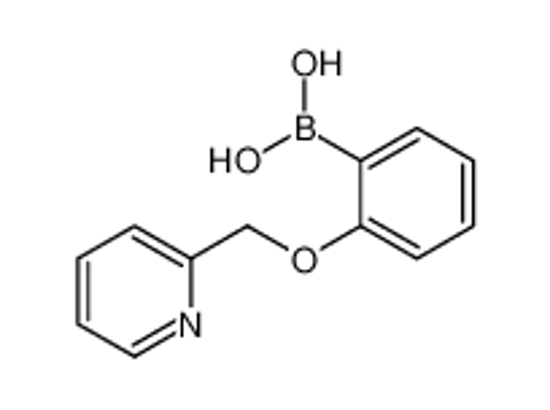 Picture of [2-(pyridin-2-ylmethoxy)phenyl]boronic acid