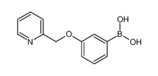 Imagem de [3-(pyridin-2-ylmethoxy)phenyl]boronic acid